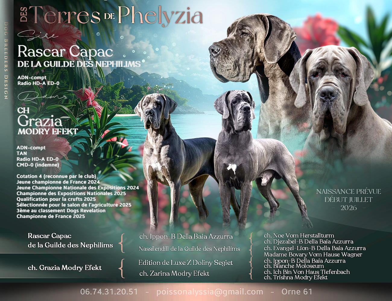 Bientôt les chiots de Grazia et Rascar