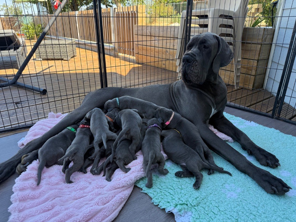 Première sorti dehors avec les bb et maman