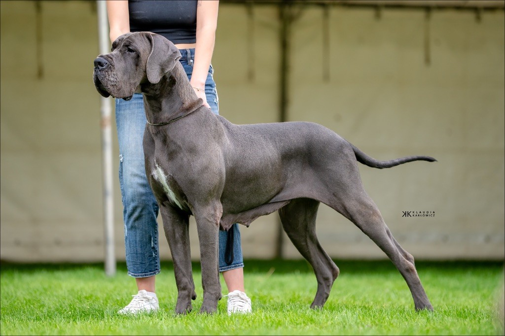 Nationale d?élevage Neuvic 2025